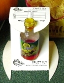 Smart_Way_fruit_fly_trap.jpg
